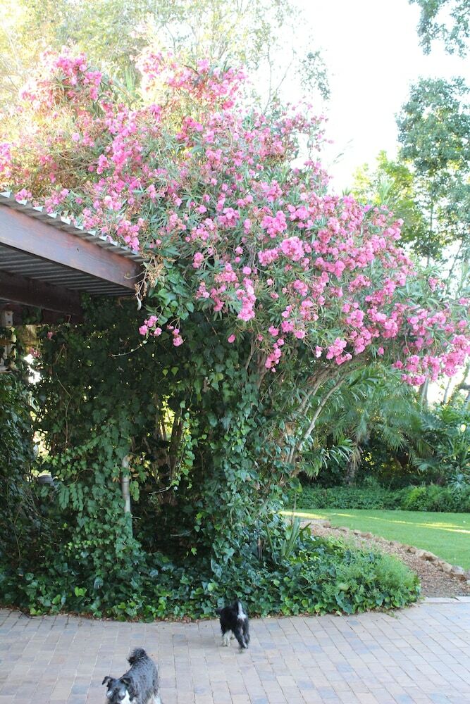 Hotel Moreson Guest Farm
