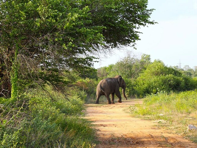 Hotel Best Life Eco Resort Mattala