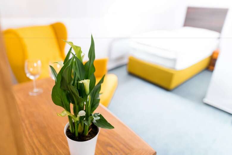 Pension Penzion Austis