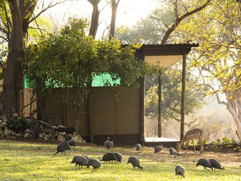 Posada Imbabala Zambezi Safari Lodge - All Inclusive