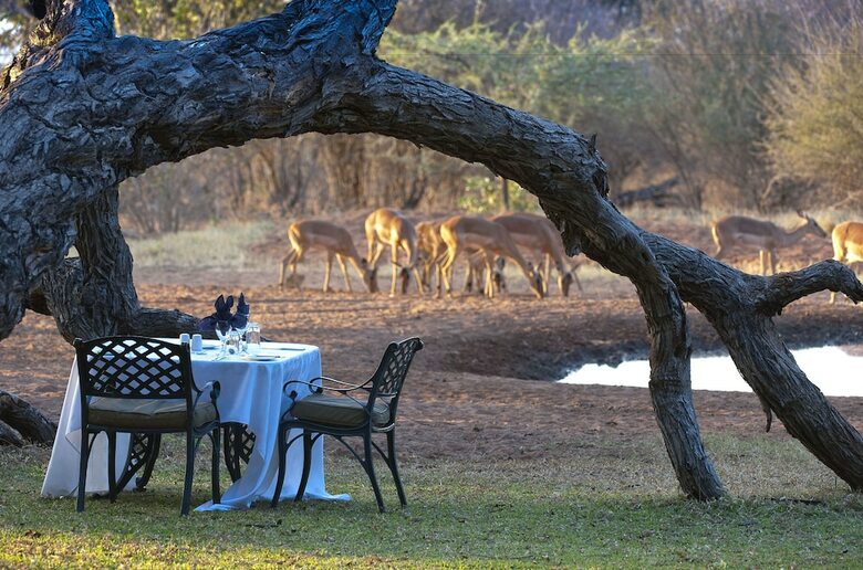 Posada Imbabala Zambezi Safari Lodge - All Inclusive