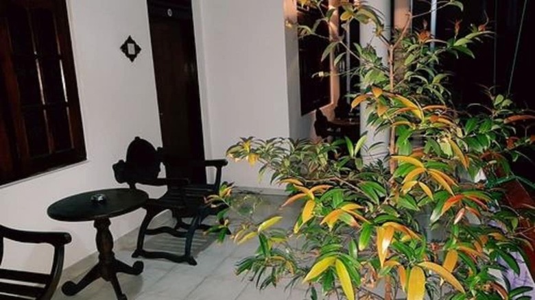 Hotel Happy Night & Restaurant
