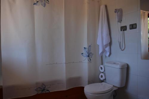 Eco Hotel Antuco