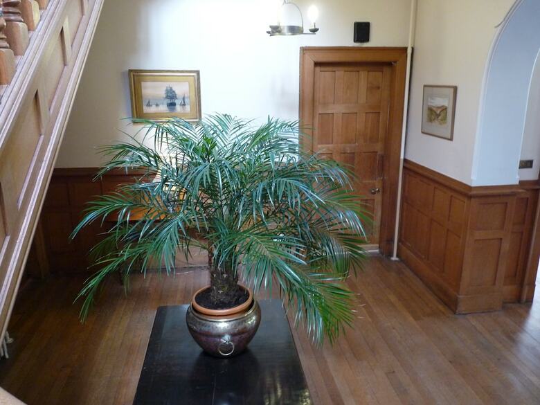 Hotel Ardgye House