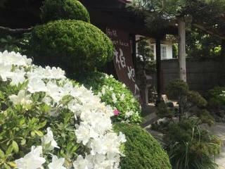 Hostal Wafu Guesthouse Kashiwaya