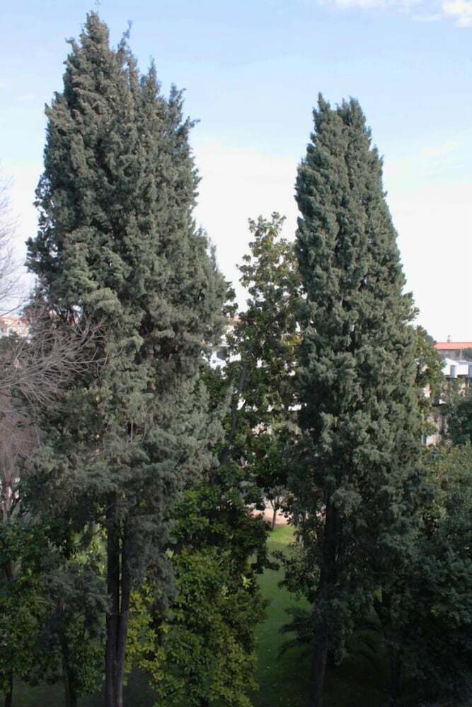 Apartamento Roma Termini Touristhome