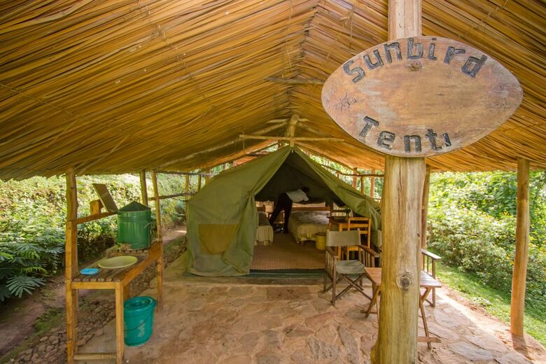 Bushara Island Camp