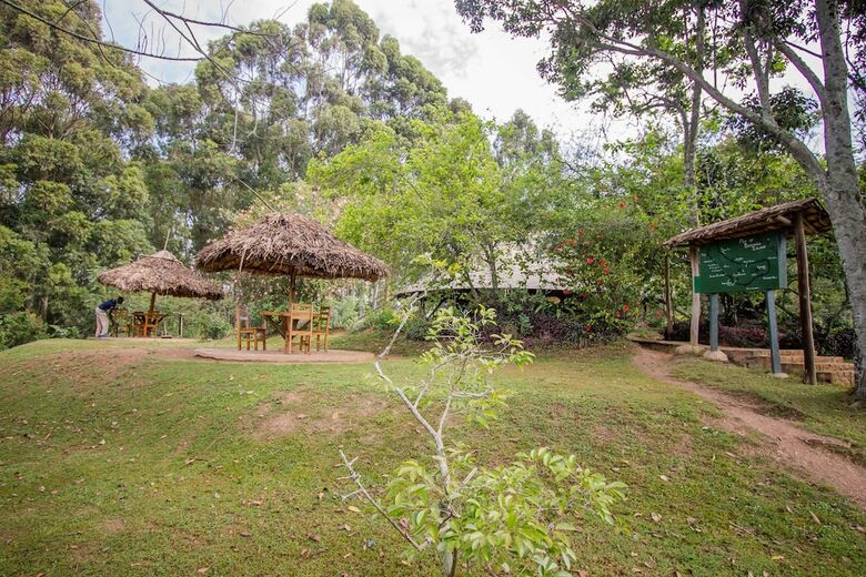 Bushara Island Camp
