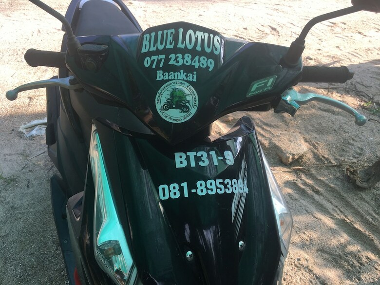 Hotel Blue Lotus Resort