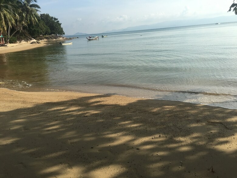 Hotel Blue Lotus Resort