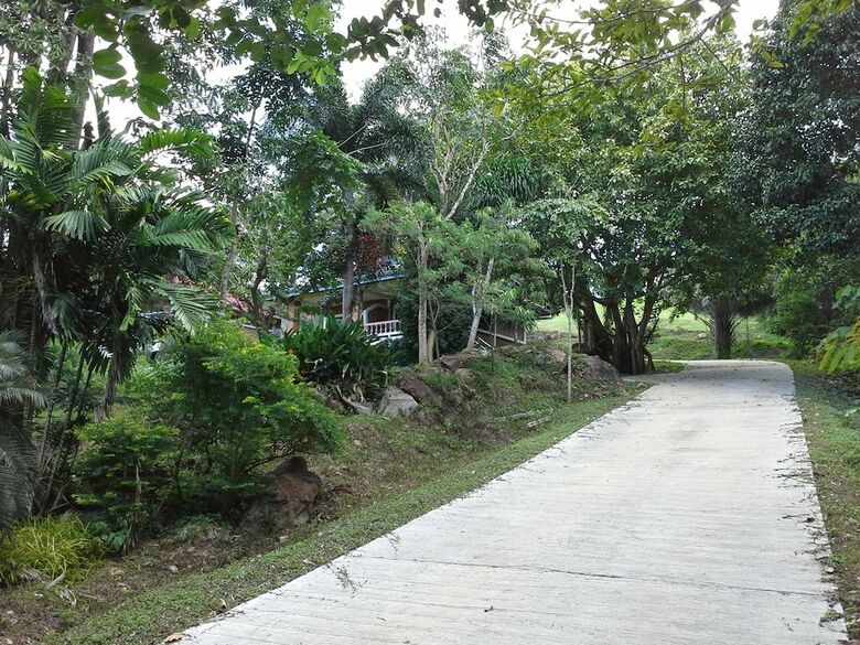 Apartamentos Freedom Estate