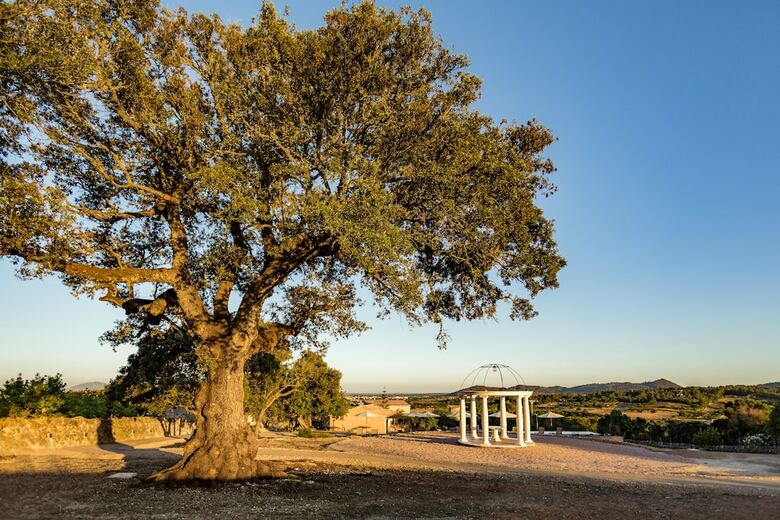 Hotel Agroturismo Ses Vistes