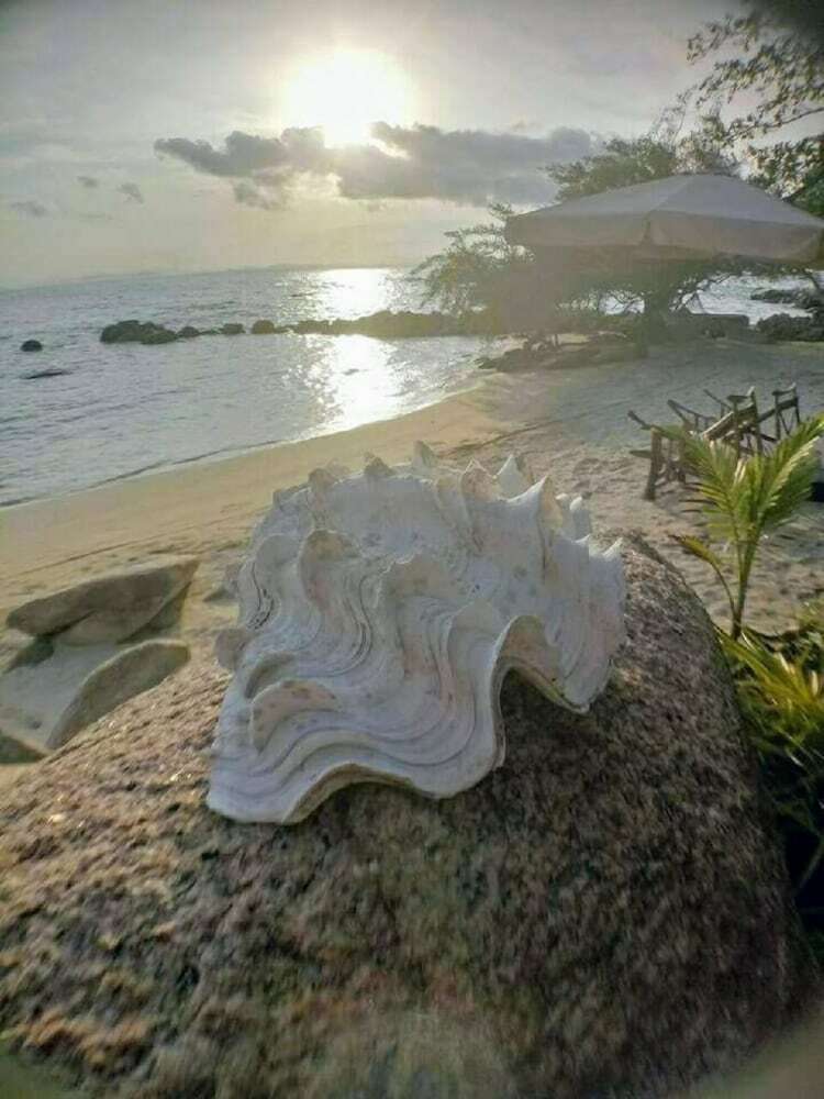Hotel Mantakiri Island Resort Private Island