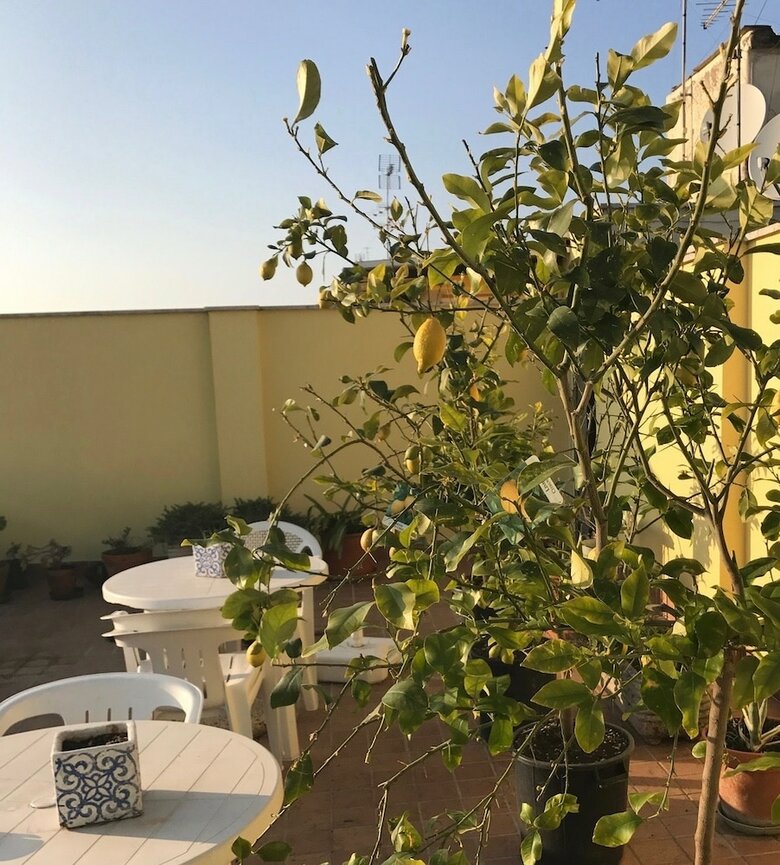 Hotel Pousada Romana