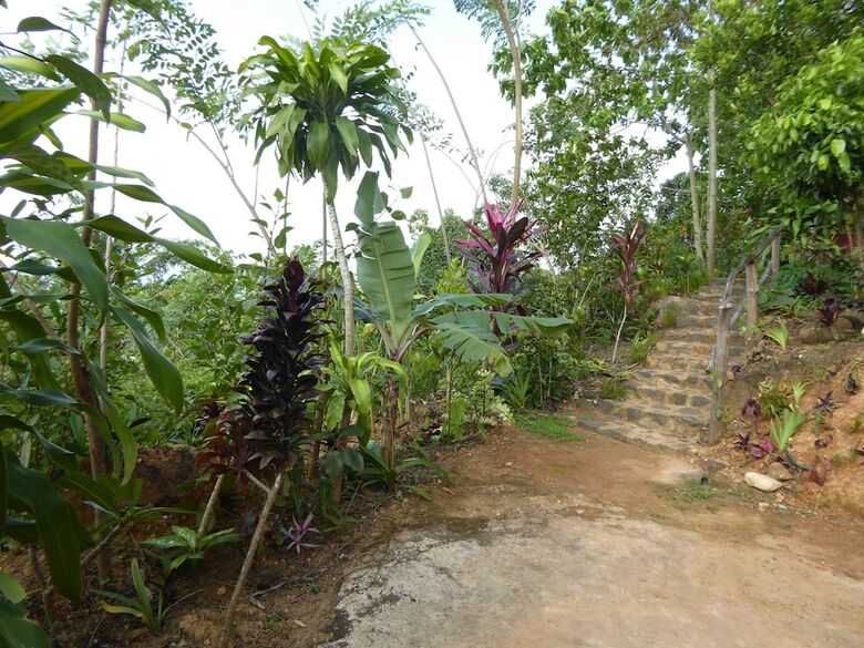 Hotel Kurulu Estate