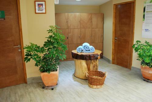 Olmue Natura Lodge & Spa