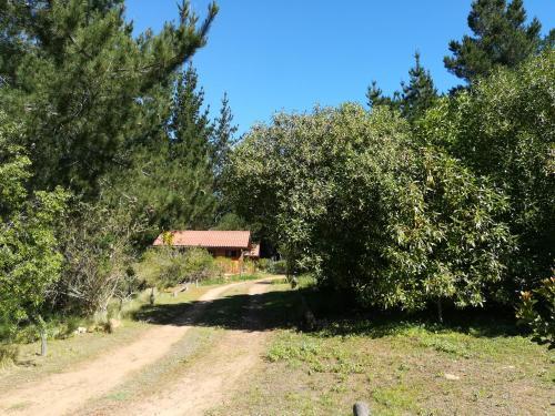 Villa Eco Caba�as Algarrobo