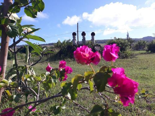 Lodge Caba�as Maheva Rapanui