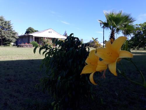 Lodge Caba�as Maheva Rapanui