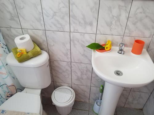 Caba�as Akivi Nui