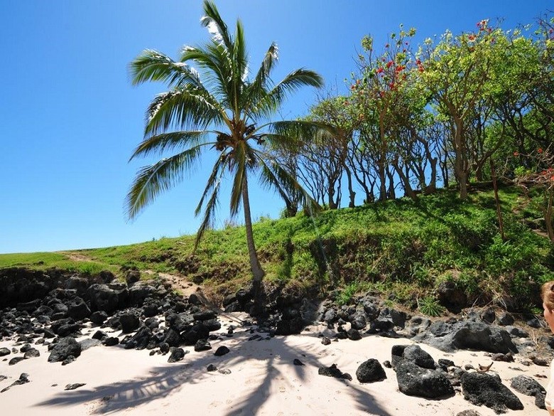 Cabana Tokerau