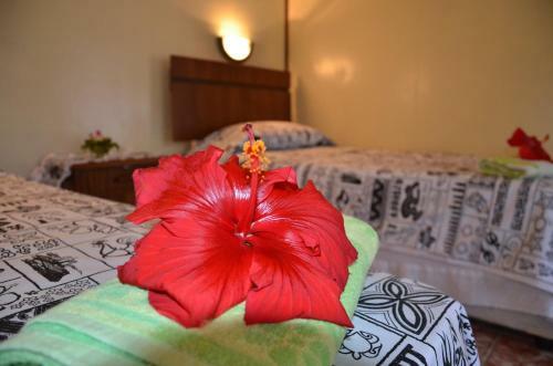 Hostal Korina's Guesthouse