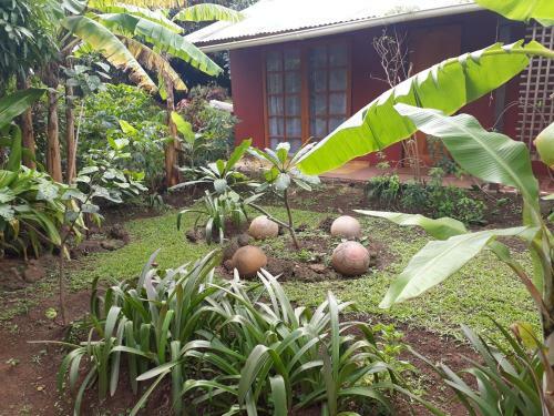 Hostal Korina's Guesthouse