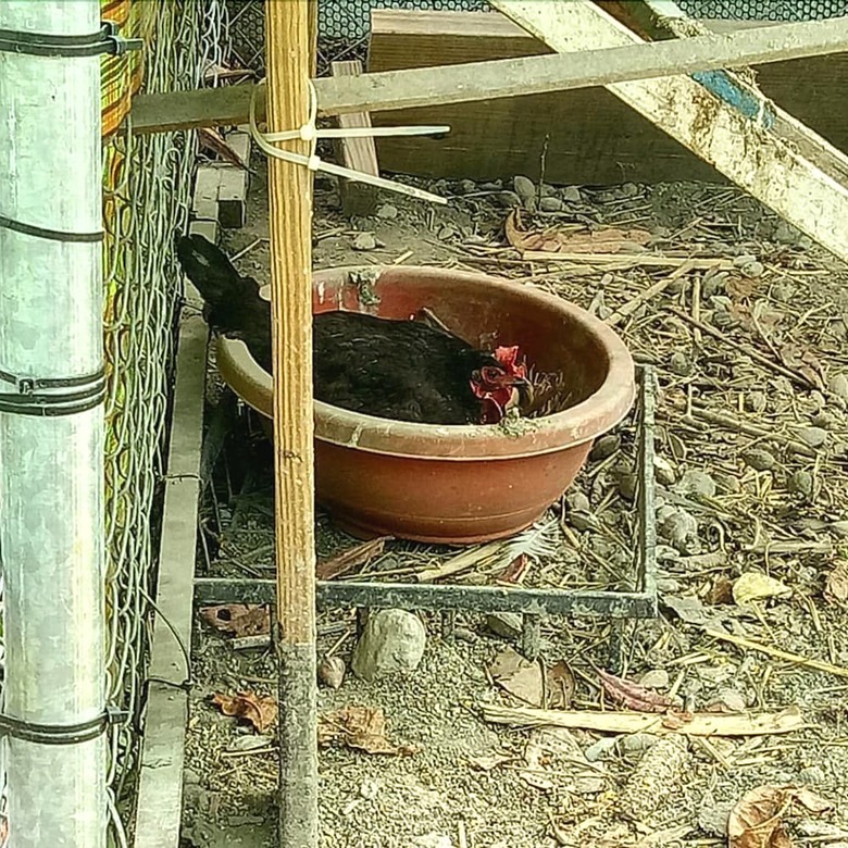 Snail B&B