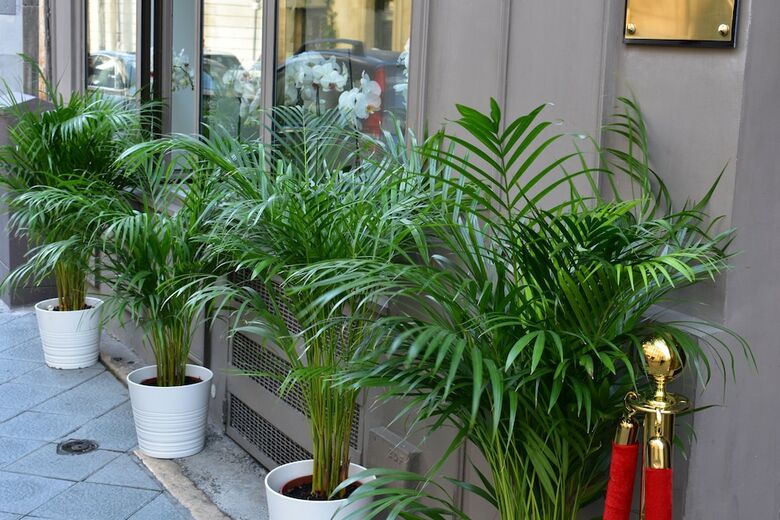 Hotel H�tel Churchill