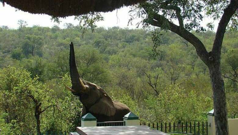 Posada Muweti Bush Lodge