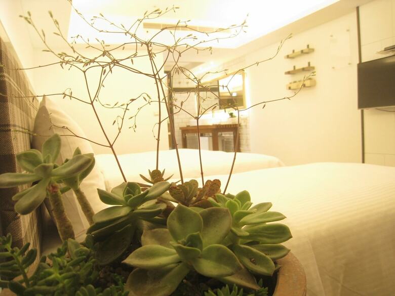Formosa Boulevard Station Garden Hotel