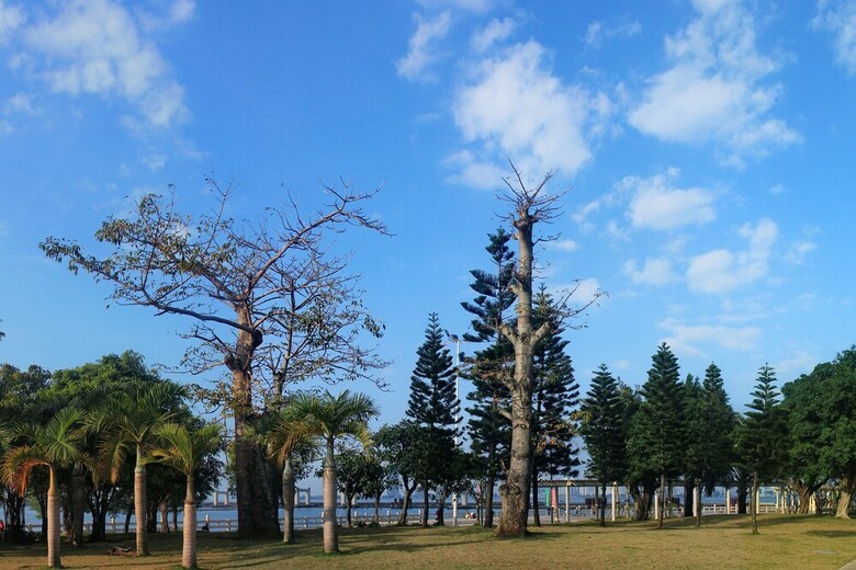Haikou Baofa Shengyi Hotel