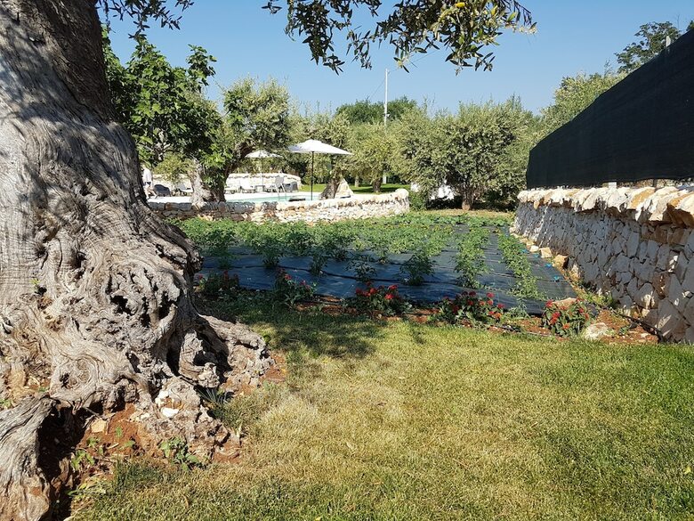 Apartamento Almapetra Trulli Resort