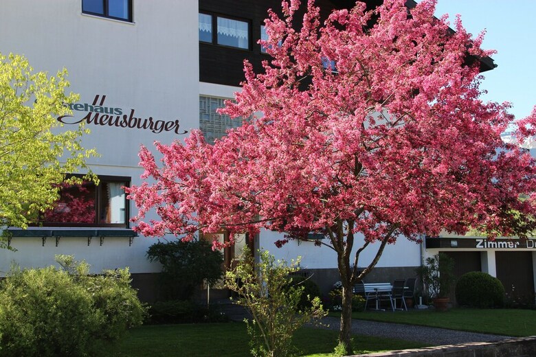 Hotel G�stehaus Meusburger