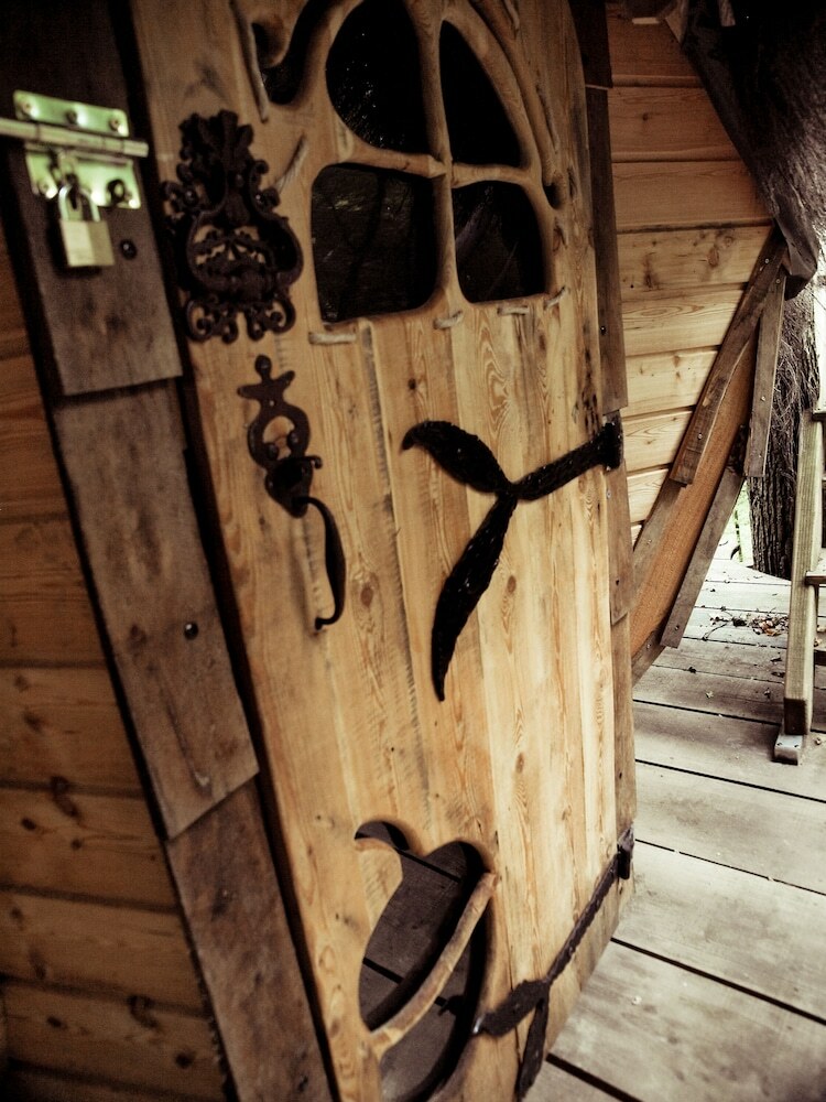 L'arbre � Cabane