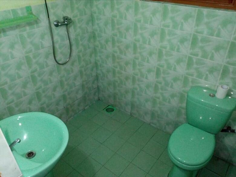 Hotel Lizzie Villa Guest House