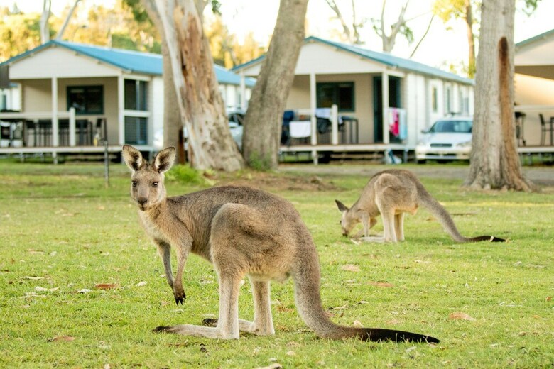 Racecourse Beach Tourist Park