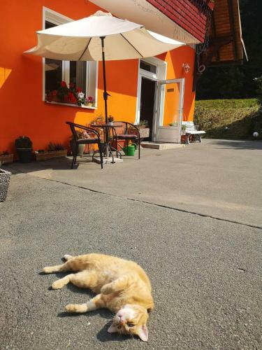 Hotel Pension Waldbaude