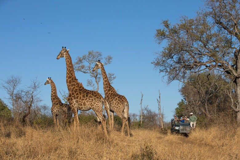 Posada Becks Safari Lodge - All Inclusive