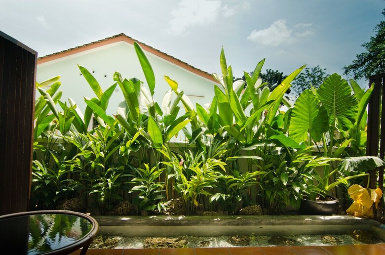 Hotel Mydream Homestay