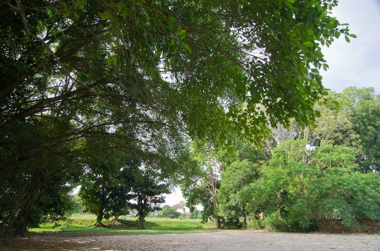 Hotel Mydream Homestay