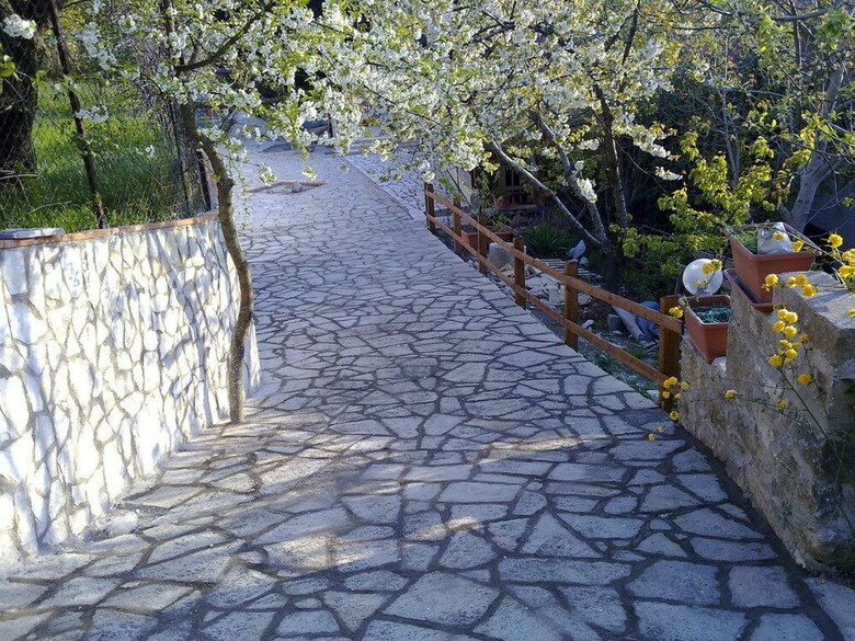 B&B Antica Trattoria Bacco
