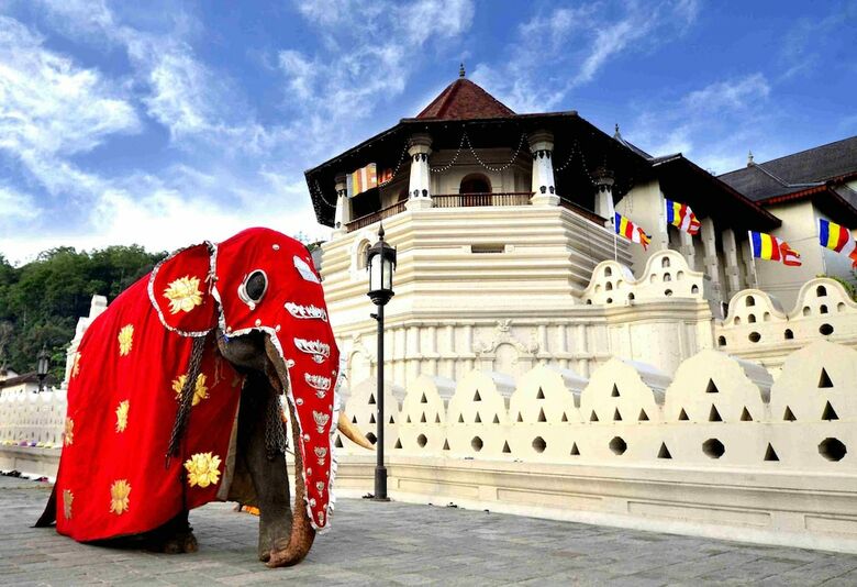 Hotel Atelier Kandy