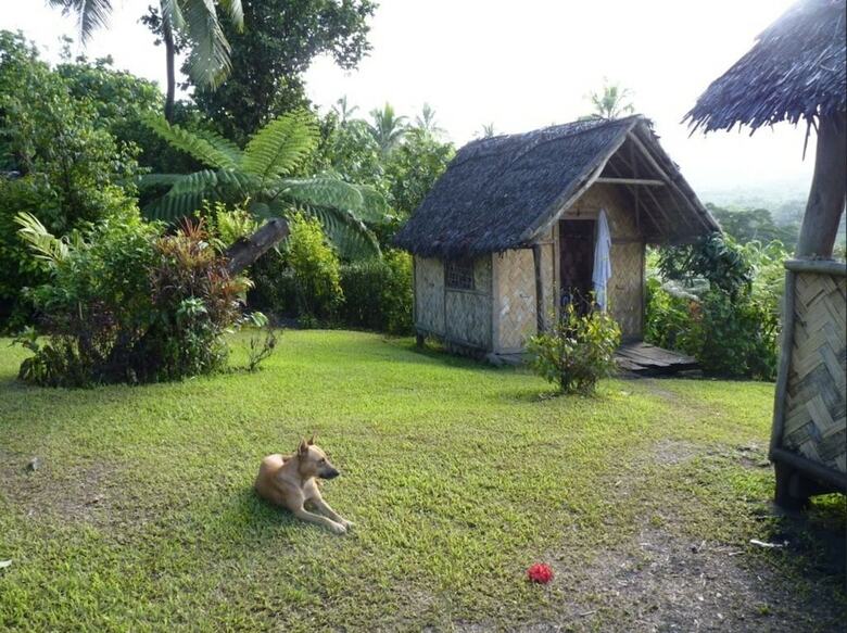 Bed & Breakfast Volcano Island Paradise