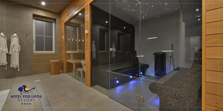 Hotel Pod Lipou