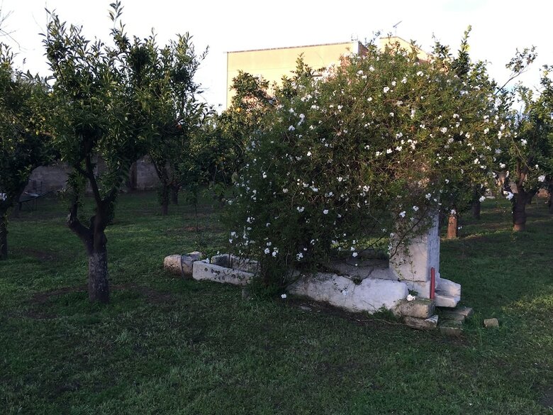 Agroturismo Agriturismo Arangea