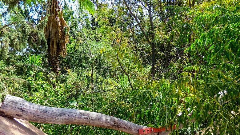 Bed & Breakfast Le Jardin Tougana