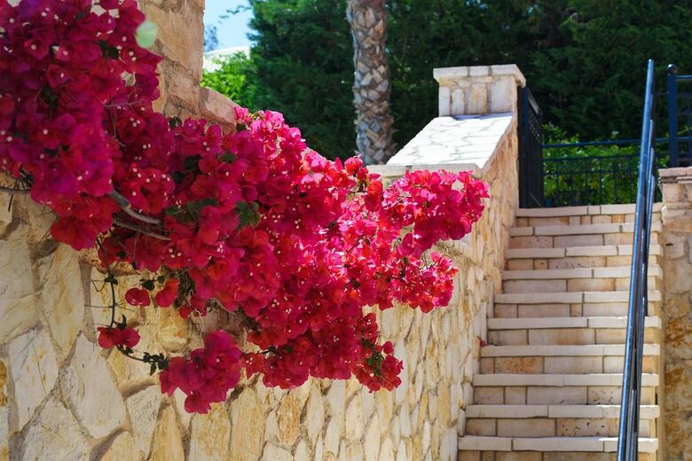 Il Tesori Dassia Villas