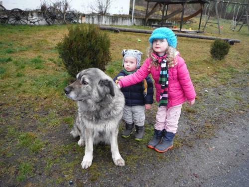 Hostal Gasthaus Zehrerm�hle