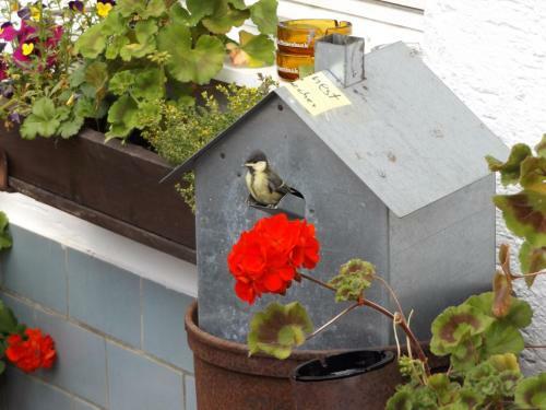 Hostal Gasthaus Zehrerm�hle